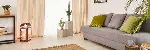 Living room with cactuses